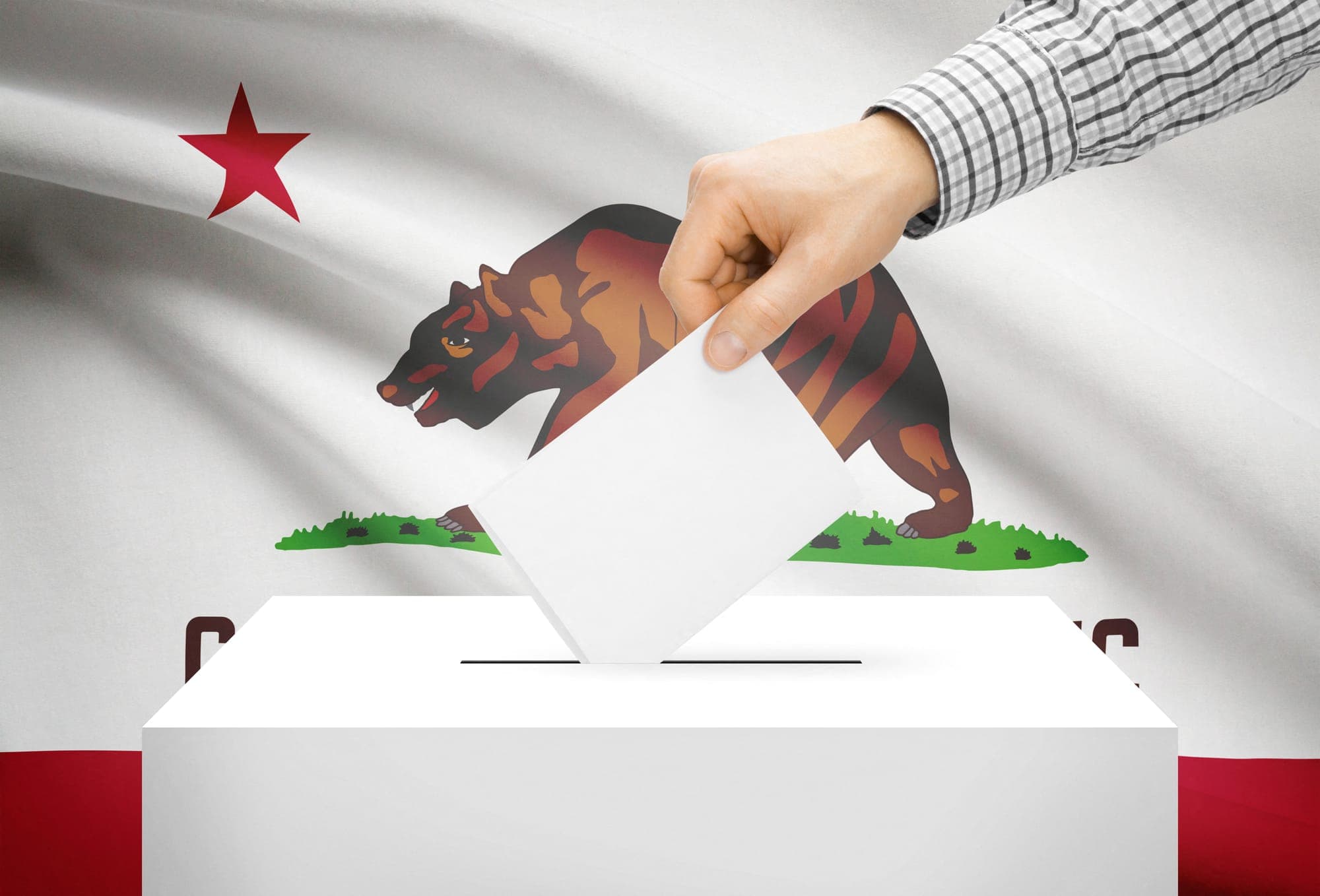 Guide to California’s Political Parties and Their Official Platforms