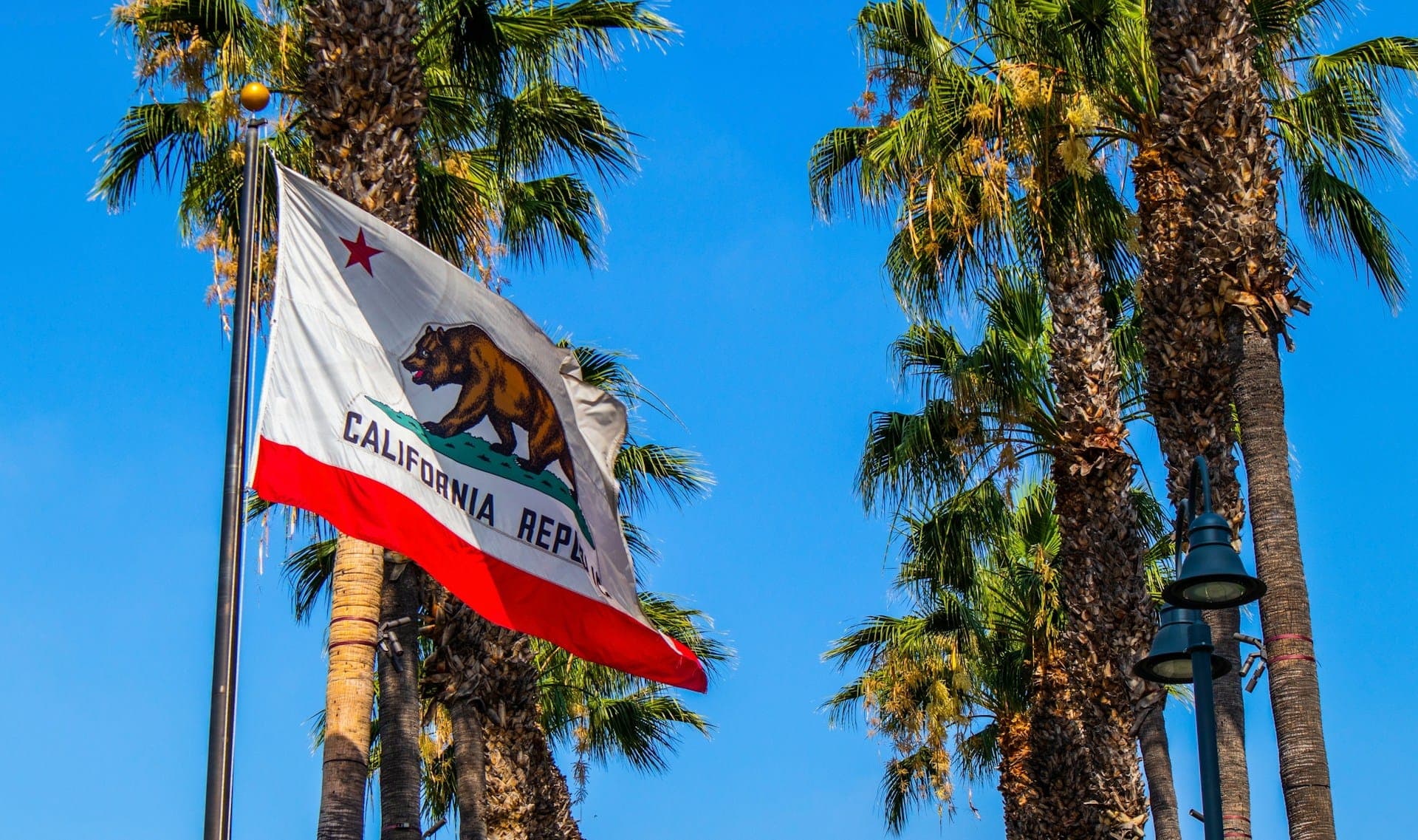 It's Official: California Voters Will Decide on Billionaire Tax, Voter ID, and 12 Other Measures This November